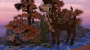arancio1_0000.jpg
