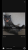 593D5024-06B5-4D92-8182-10146E5D4EAA.png