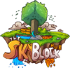 skyblock-png-17-1-1563536512.png