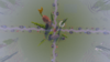 2019-12-09_16.23.29.png
