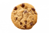 OS-Fundraising-ChocolateChipTop_whitespace.png