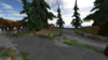 Spruce Forest (1).png
