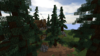 Spruce Forest (2).png
