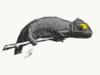 aea7ab90079691.5e0ceb6ac6741.png