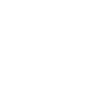 pixl logo white.png