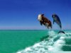Funny-Backgrounds-For-Computers-010.jpg