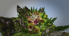 upload_2020-1-13_11-35-26.png
