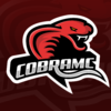 CobraMC_Logo_Background.png