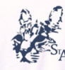 upload_2020-1-19_6-59-35.png