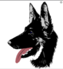 upload_2020-1-19_7-3-22.png