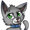 pet.png