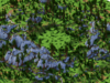 304481-b4a56d9addc183af130e13bd9becaa4b.jpg.png