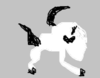 upload_2020-3-12_20-50-36.png