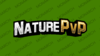 custom – 1.png