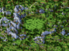 Height 1-169.png