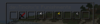 root 9.png