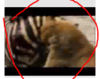 upload_2020-4-1_0-1-11.png
