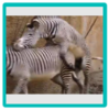 upload_2020-4-1_0-2-50.png