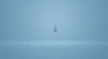 spiritsounds.gif