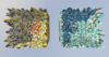 2020-04-19_05.08.16.png