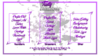 Advertisement-And-Product-List.png