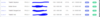 upload_2020-4-30_19-35-54.png