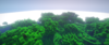 2020-05-03_20.57.48.png
