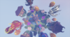 2020-05-05_20.01.02.png