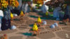 WONDERLAND 6.jpg