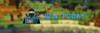 strat.png