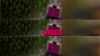 kawwibannerclient.png