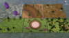arene2.jpg