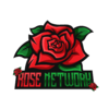 ROSE NETWORK TRANSPARENT BG.png