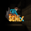 profile pic senix.png