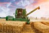 harvest.jpg
