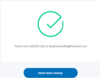 SteamWorks PayPal 20$.png