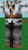 skin1.png