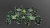 Scorpus Spawn 27.jpg