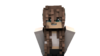 Nicole.png