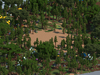 Unmerged Giant Forest-102.png