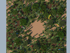 Unmerged Giant Forest-129.png