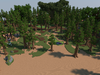 Unmerged Giant Forest-34.png