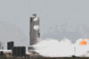 tenor.gif