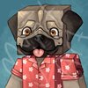pugpfp.jpg