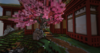 unknown (1).png