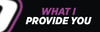 What I provide you.png