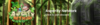 asperity banner.png