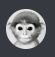 Screenshot_2.png