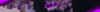 WafyBanner.png