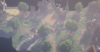 Screenshot_236.png